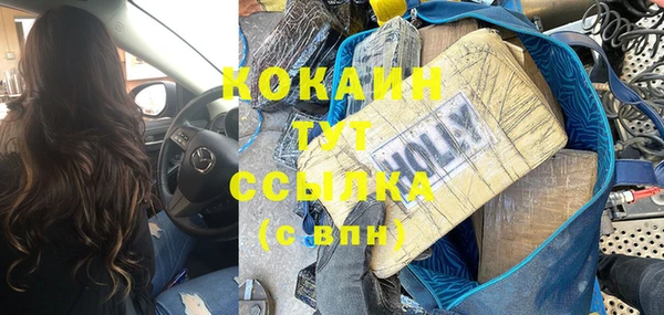 трава Белокуриха