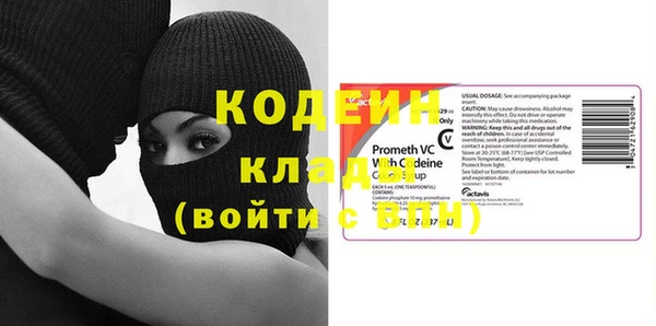 трава Белокуриха