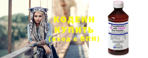 трава Белокуриха
